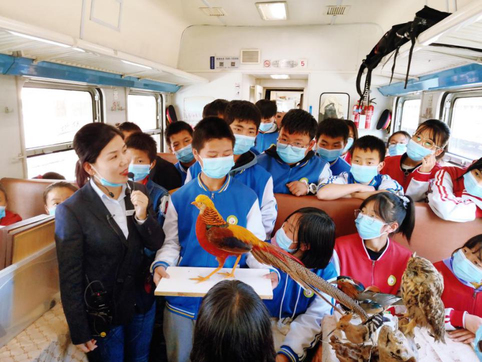 20210312529231.jpg 20210312529231.jpg